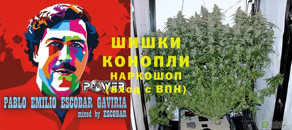 круглые Аркадак
