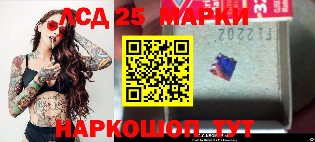 LSD-25 экстази кислота  ЛСД экстази кислота  Нефтекумск  Вход с VPN 