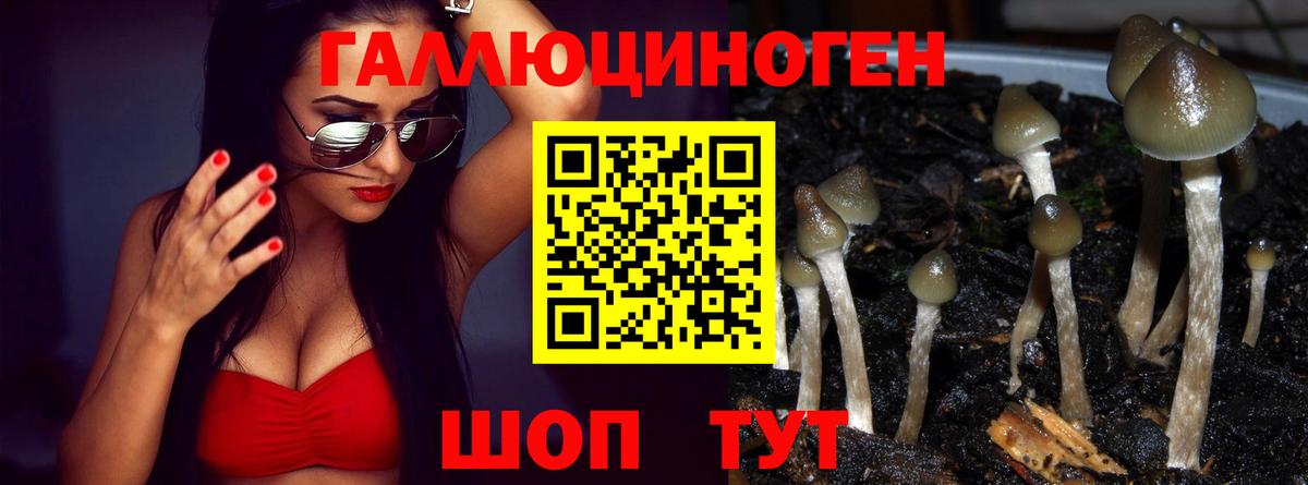 Псилоцибиновые грибы Cubensis Нефтекумск