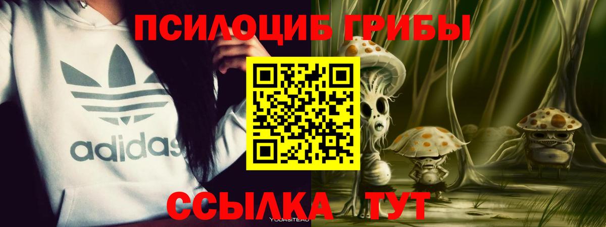 Галлюциногенные грибы мицелий  Вход с VPN  Нефтекумск  Псилоцибиновые грибы ЛСД 